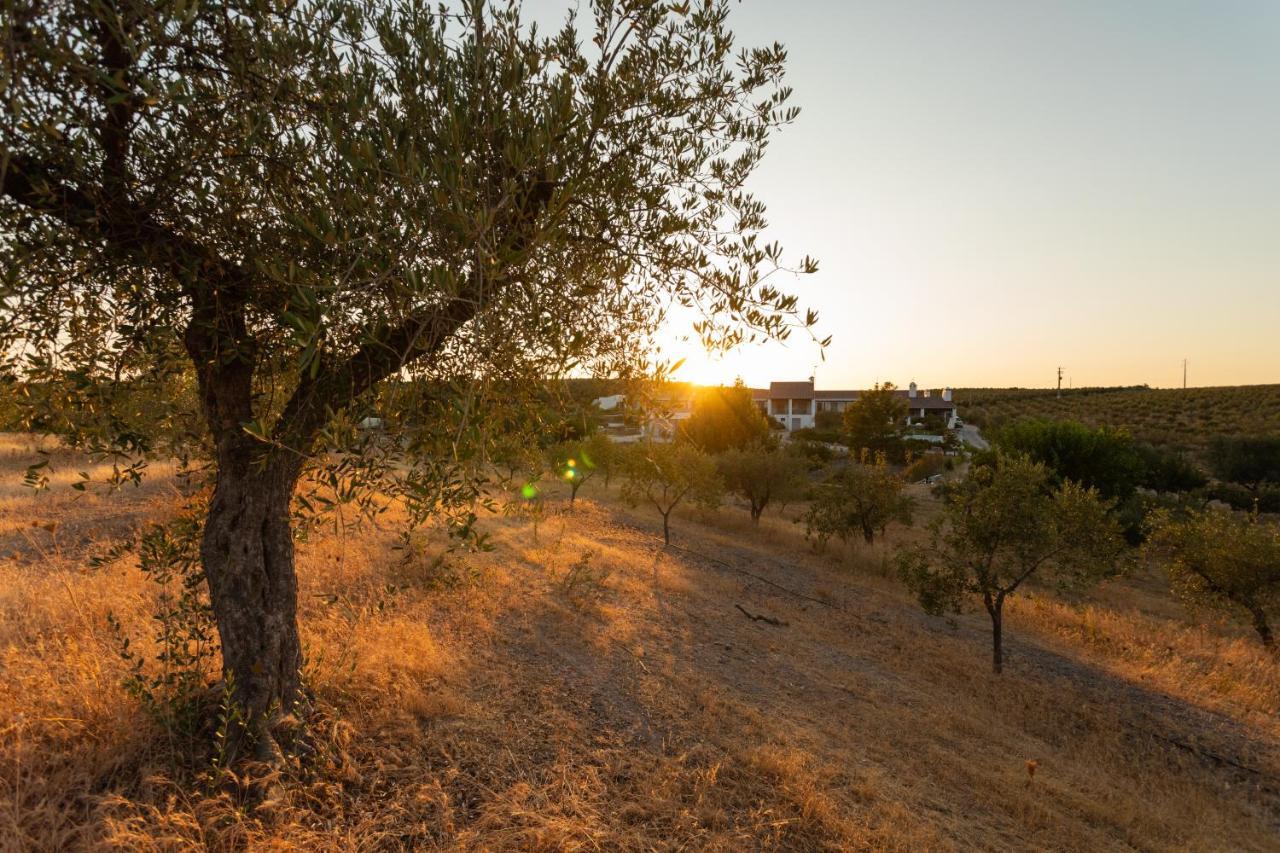 Country house Monte Da Estrela - & Spa Moura