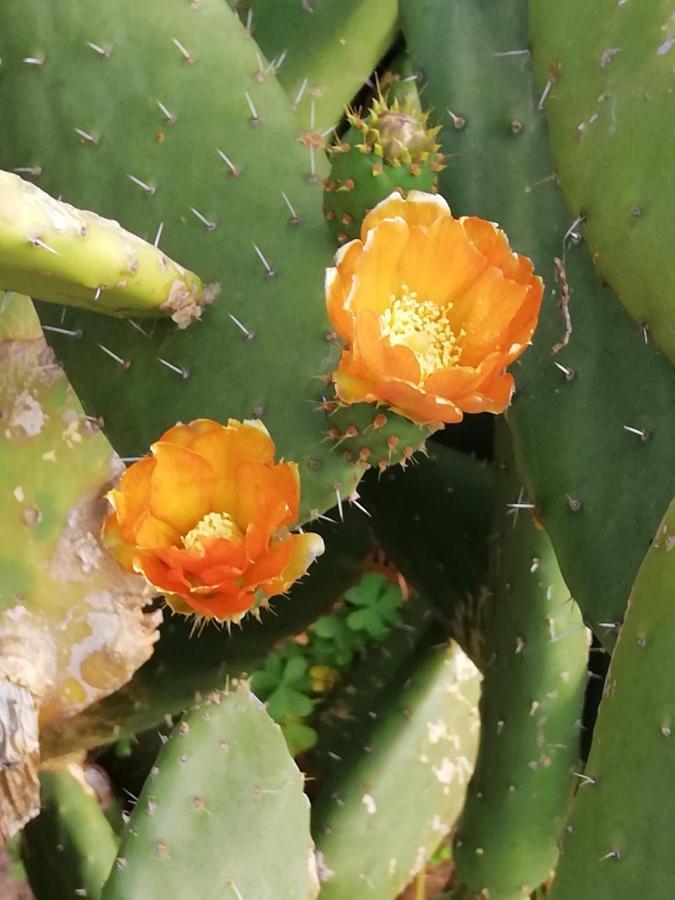 Quintinha Lombas Casa de férias *
