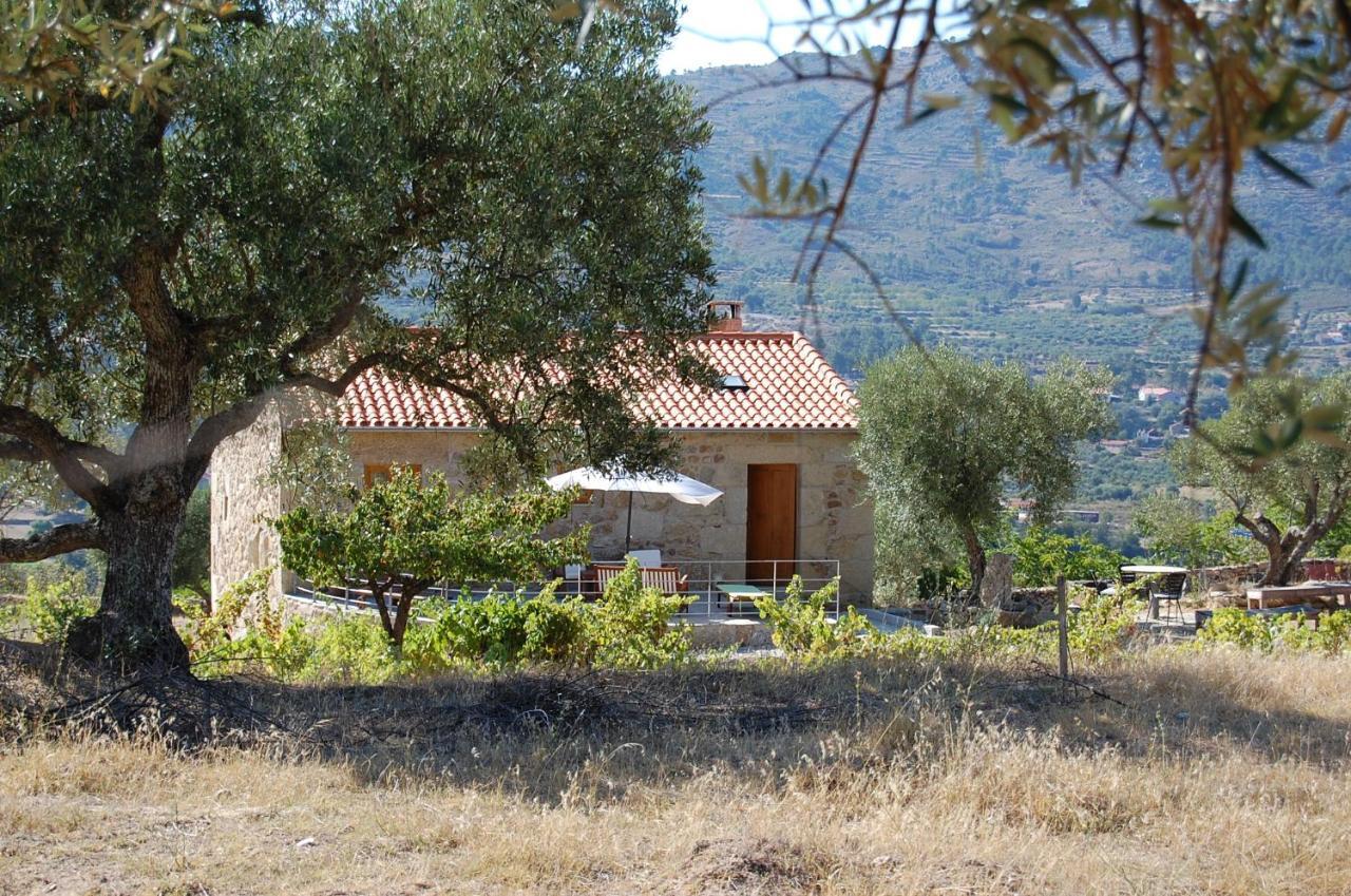 Farm stay Casa Da Carrica - Serra Da Estrela Guarda