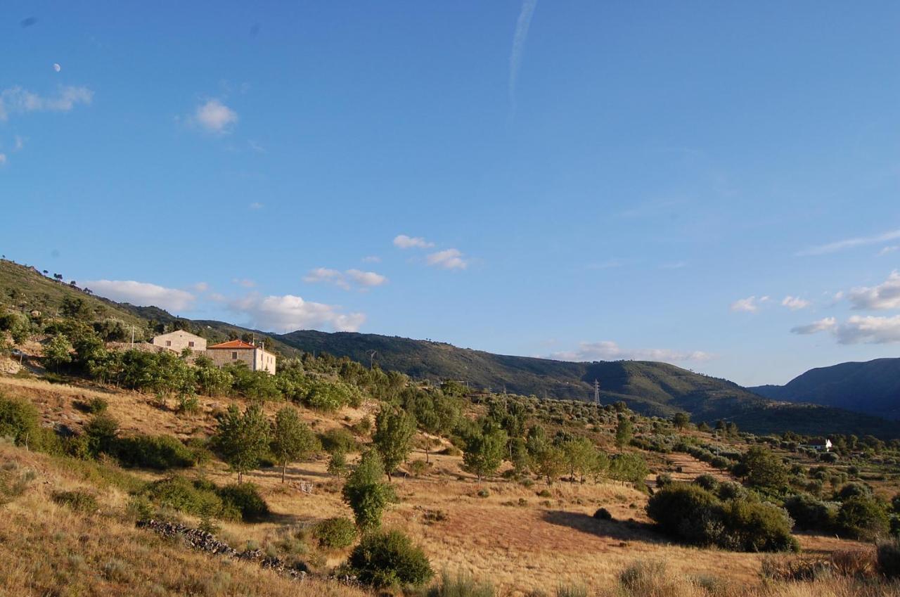 Casa Da Carrica - Serra Da Estrela Vakantieboerderij *