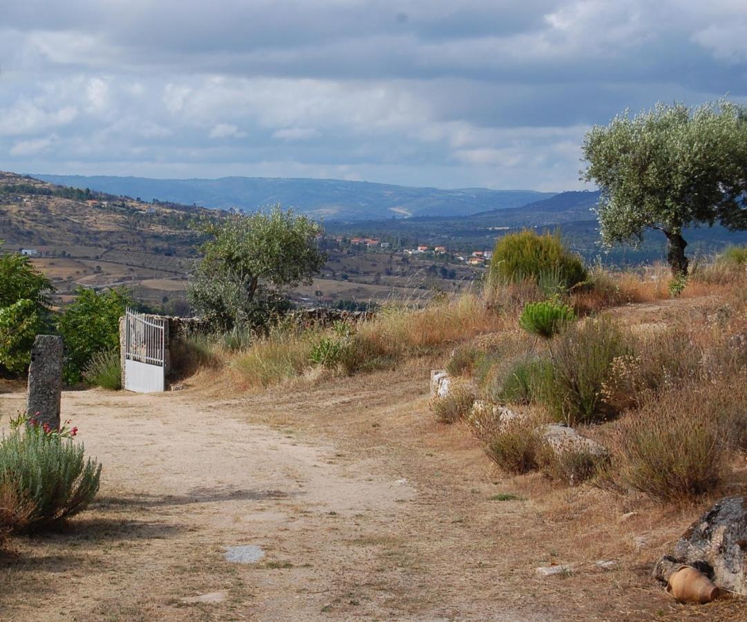 Casa Da Carrica - Serra Da Estrela *