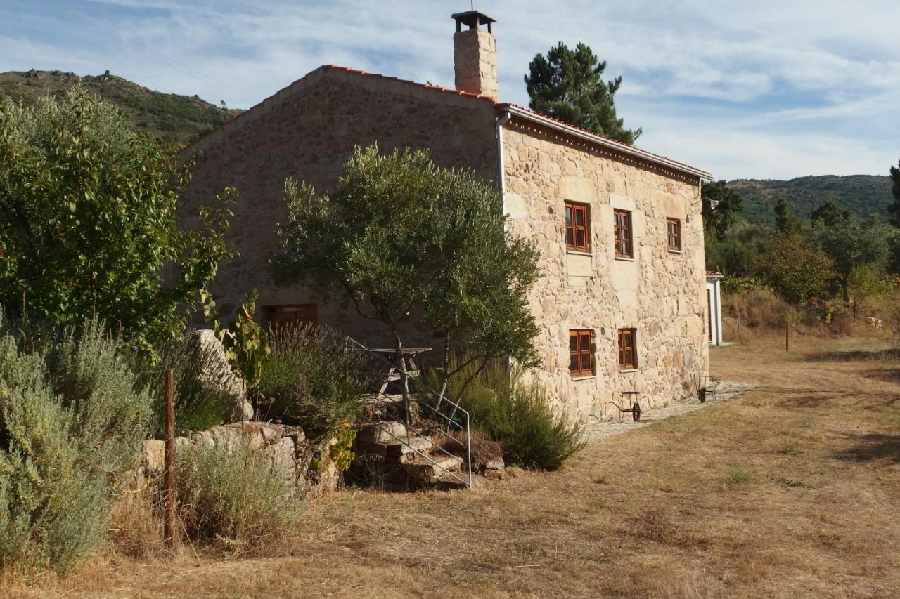 Casa Da Carrica - Serra Da Estrela *