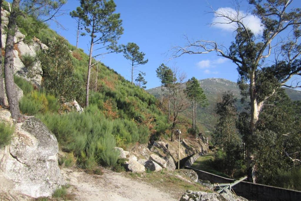 Casa Oeste * Sabugueiro (Guarda)