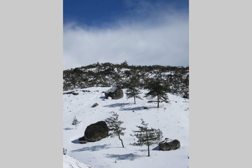 Casa Oeste * Sabugueiro (Guarda)