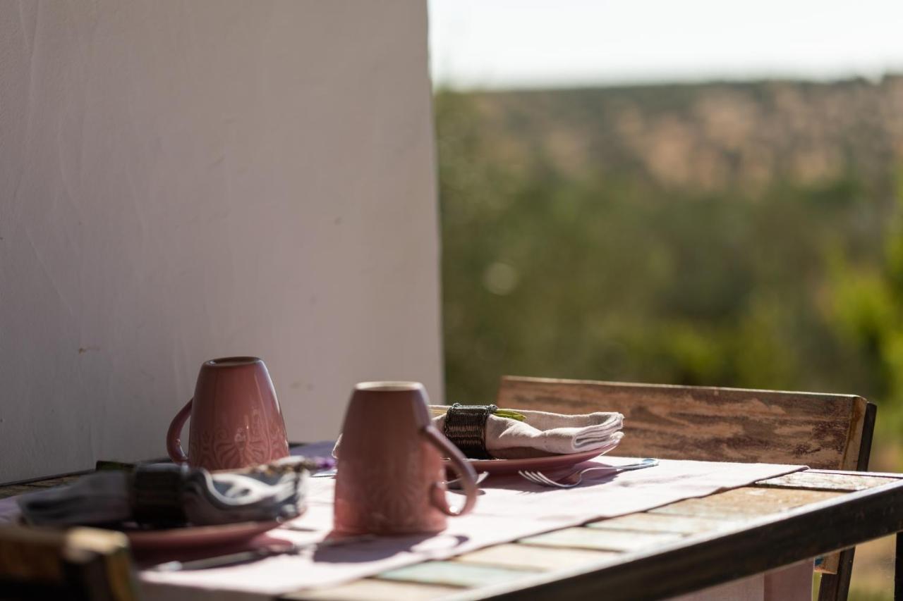 Country house Monte Da Estrela - & Spa Moura