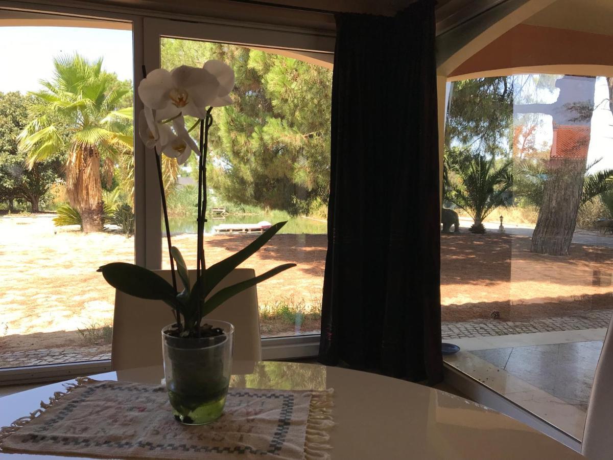 Quinta Serena Palmela