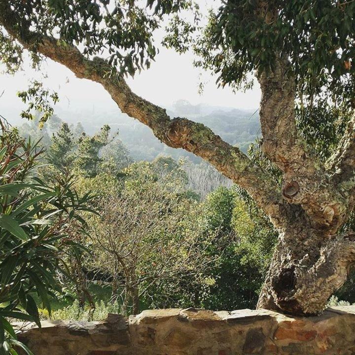 Bed & Breakfast Herdade Quinta Natura