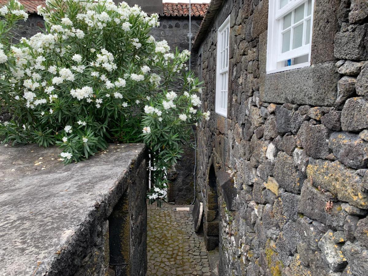 Bed and breakfast Casa Barcas - Th São Roque do Pico