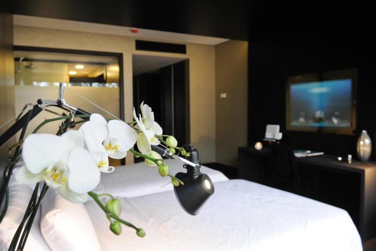 Evidencia Belverde Hotel