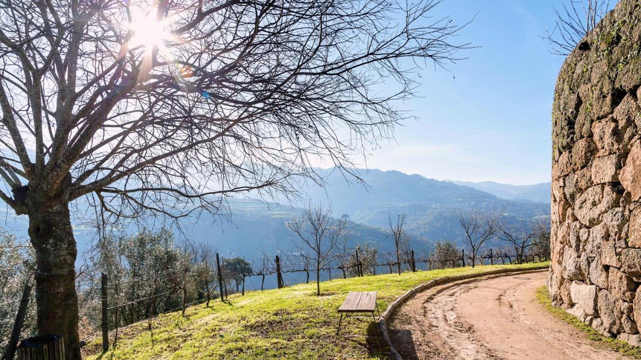 Douro Palace Resort&spa Hotel 4*