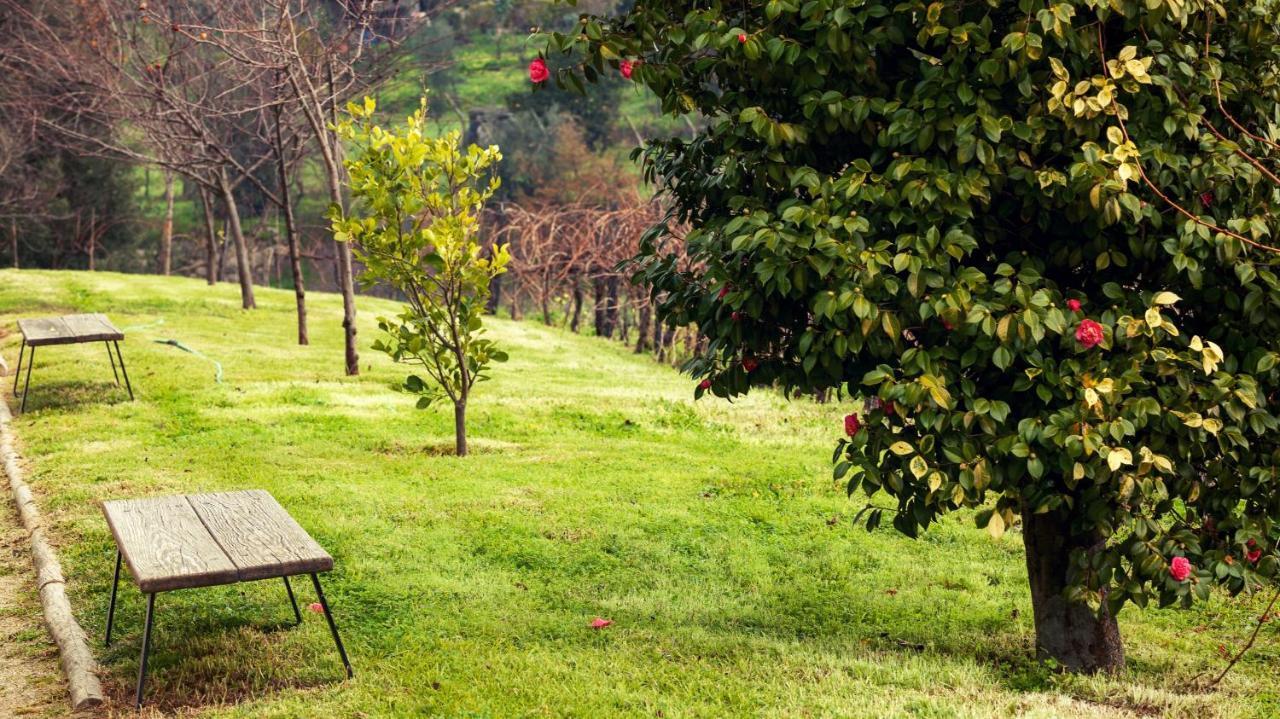 Douro Palace & 4*