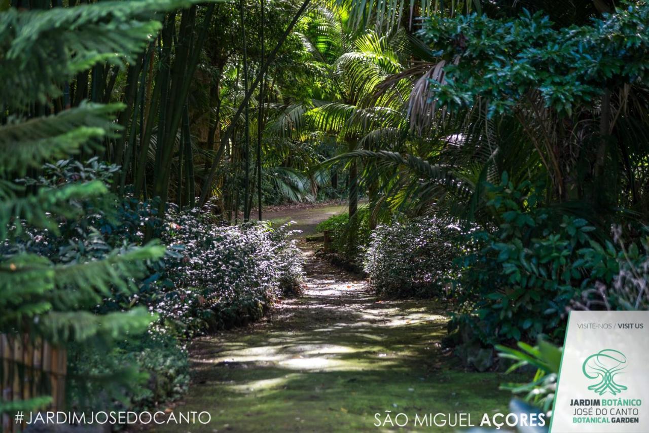 Casa Do Jardim