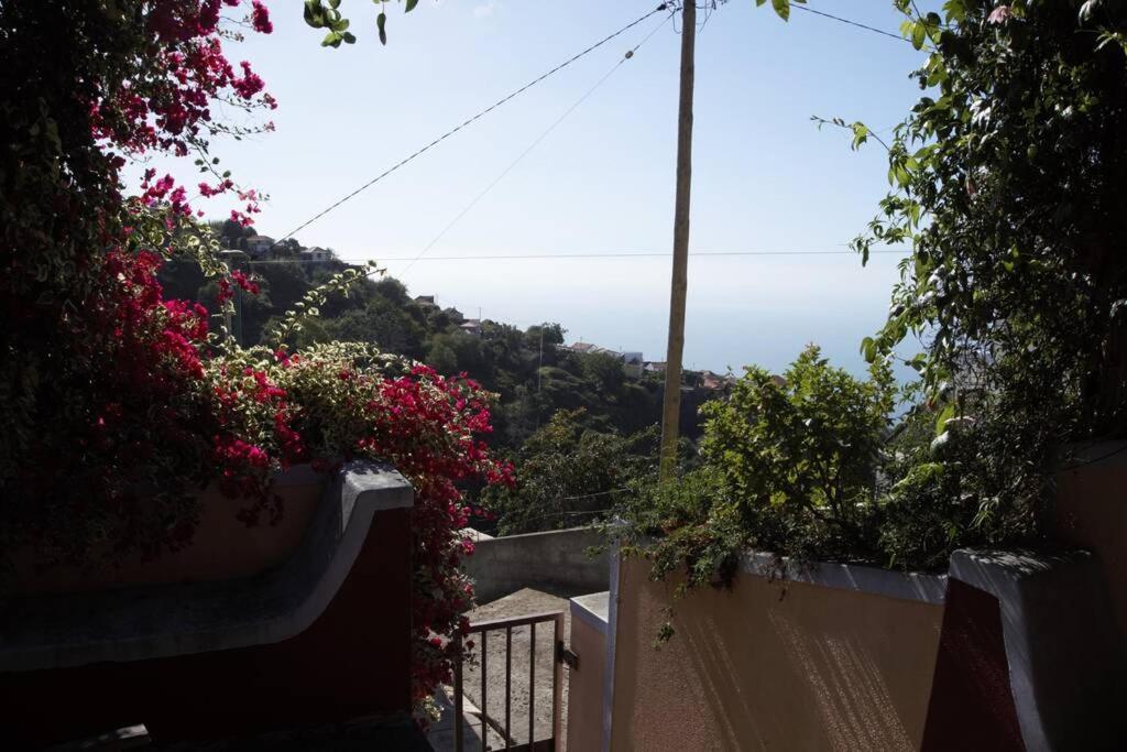 Holiday home Raposeira De Sao Joao, The Feeling Of Peace, Space And Quiet, Whole Is Yours Faja da Ovelha