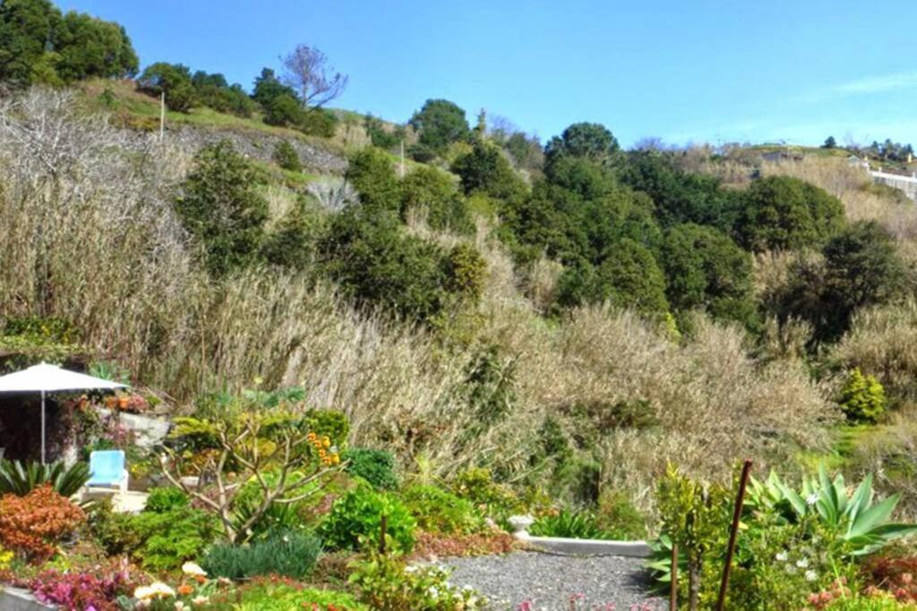 Holiday home Raposeira De Sao Joao, The Feeling Of Peace, Space And Quiet, Whole Is Yours Faja da Ovelha