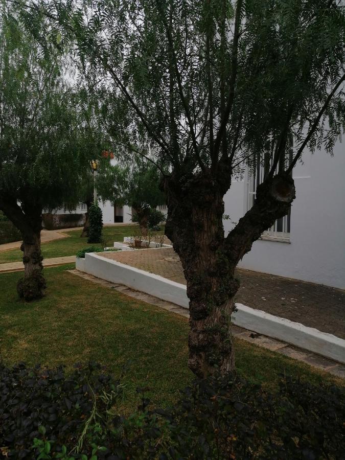 Apartment Garden Tavira