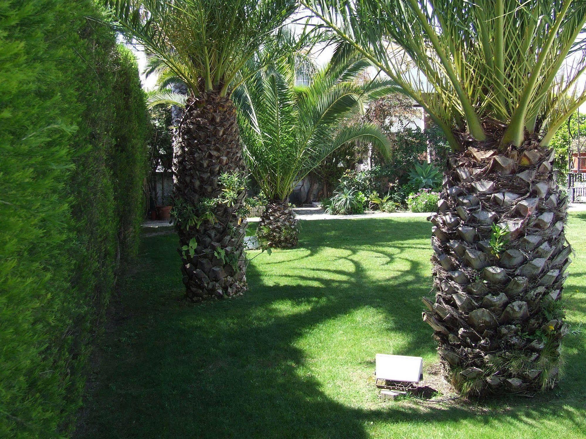 Hotel Solar De Mos