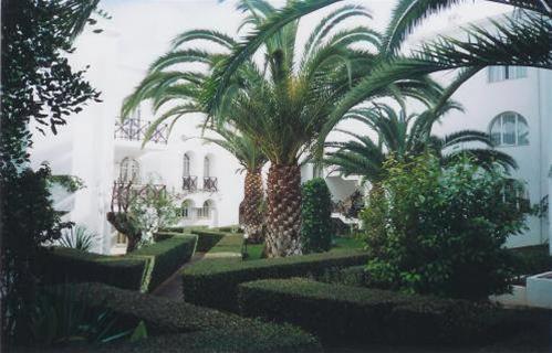 Garden Tavira