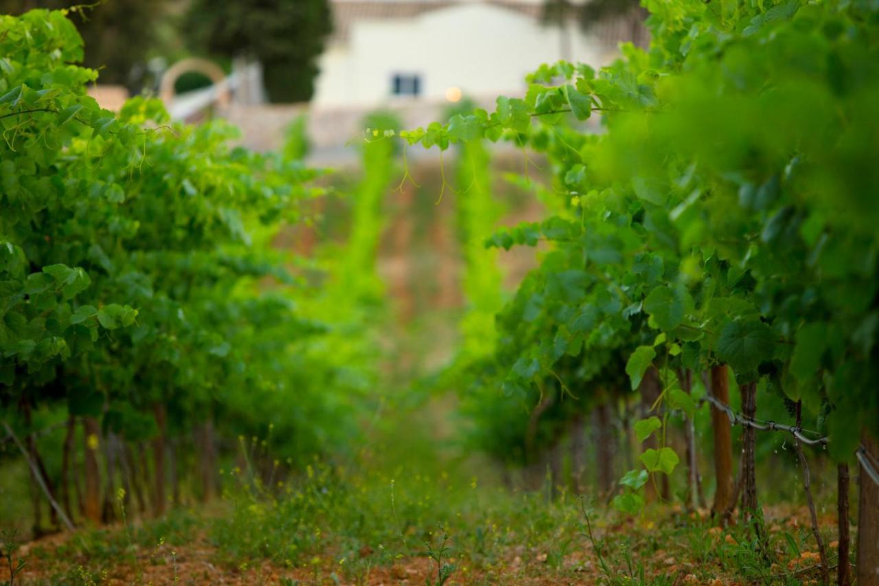 Quinta Dos Vales Wine Estate *