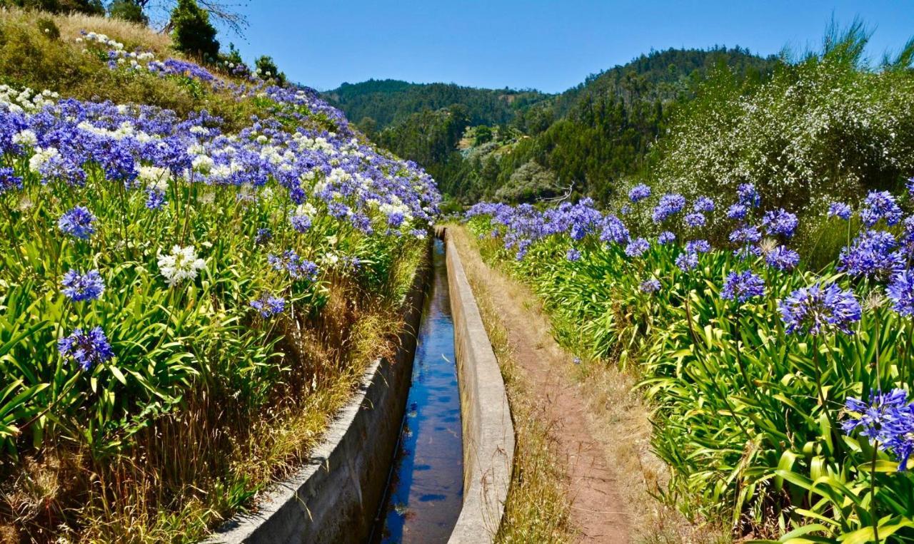 Casa Da Relva Com Piscina Aquecida Interna * Arco da Calheta (Madeira)