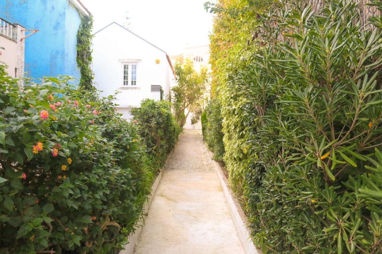 Guest house Casa Londres