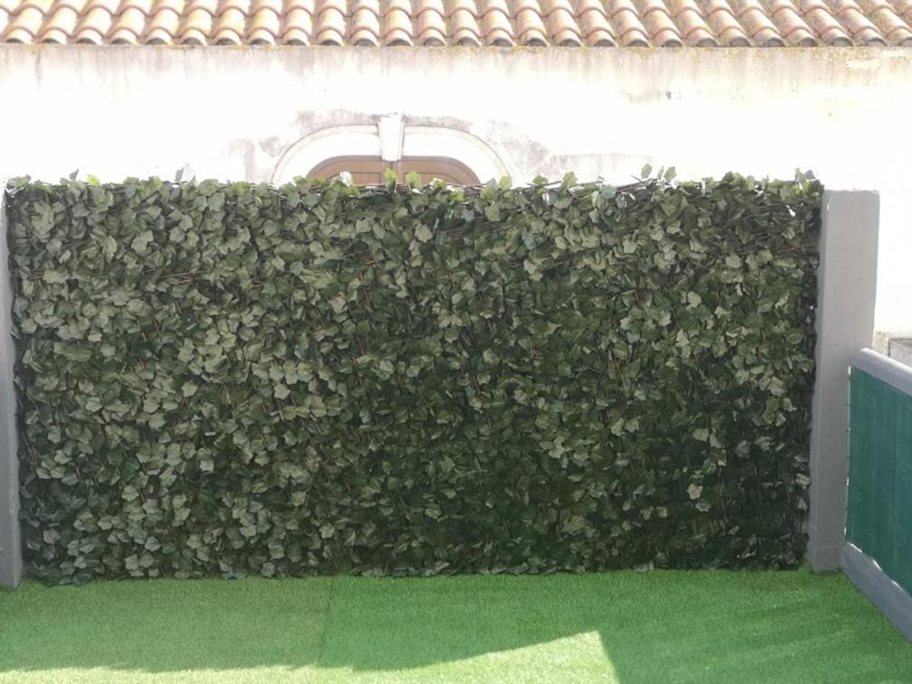 Pensión Residencial S Juliao Al Figueira da Foz