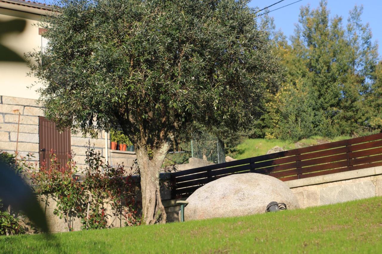 Tavares Farm stay Arouca
