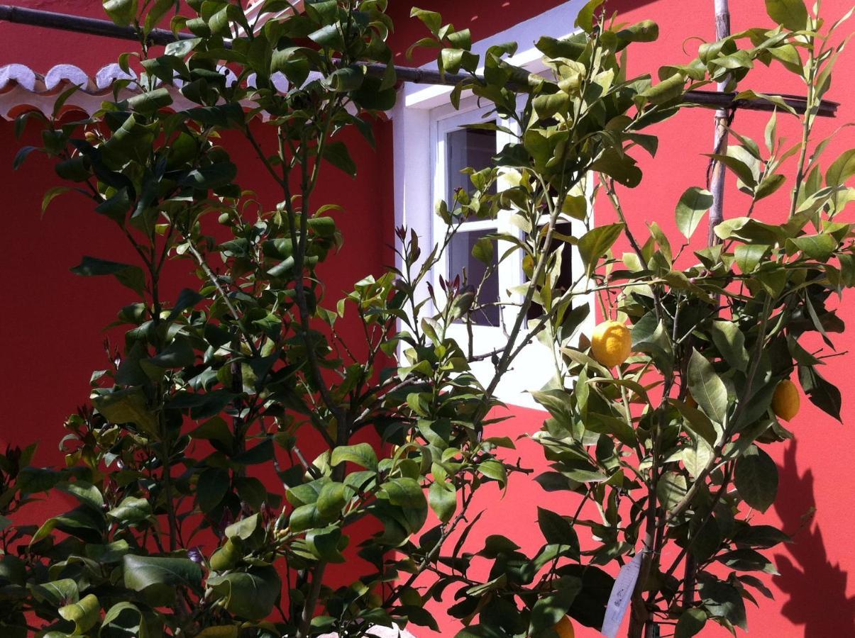 Guest house Verdemar