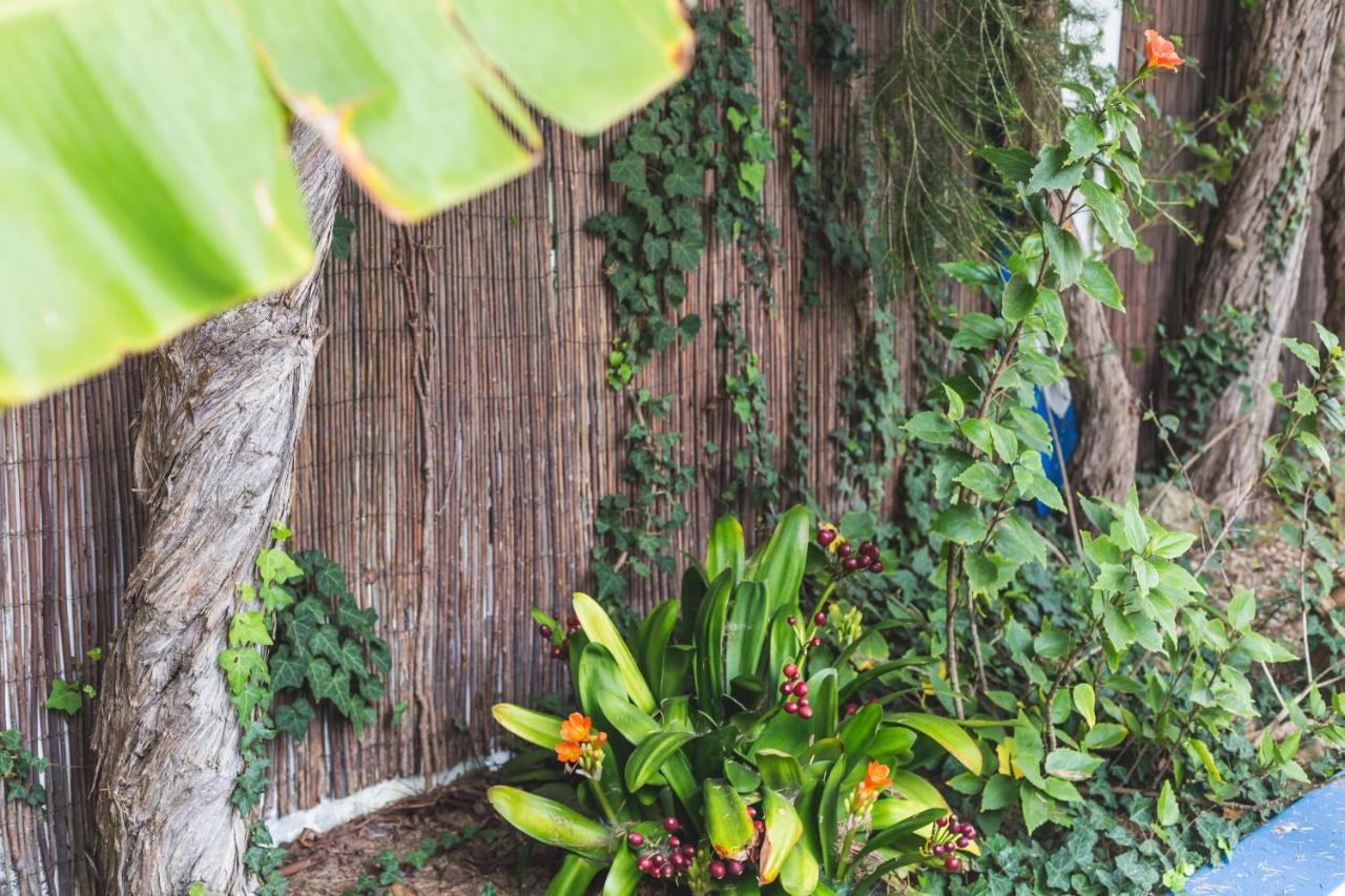 Hostal Chill Hill & Private Ericeira