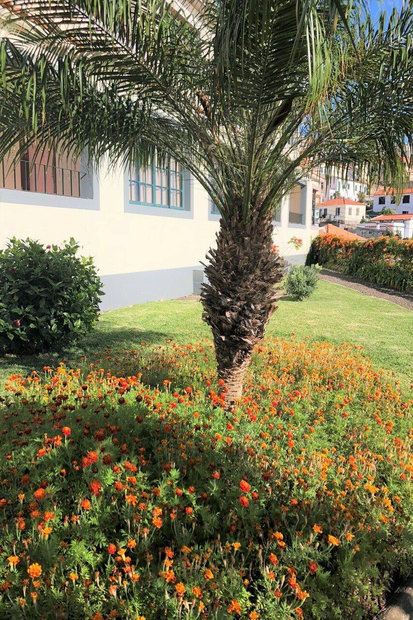 Quinta Mae Dos Homens Apartahotel 3*