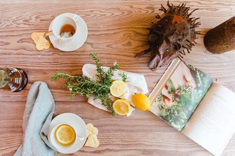 The Nest By Cooking And Nature