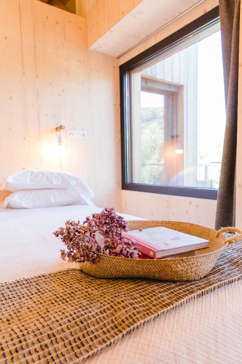 The Nest By Cooking And Nature