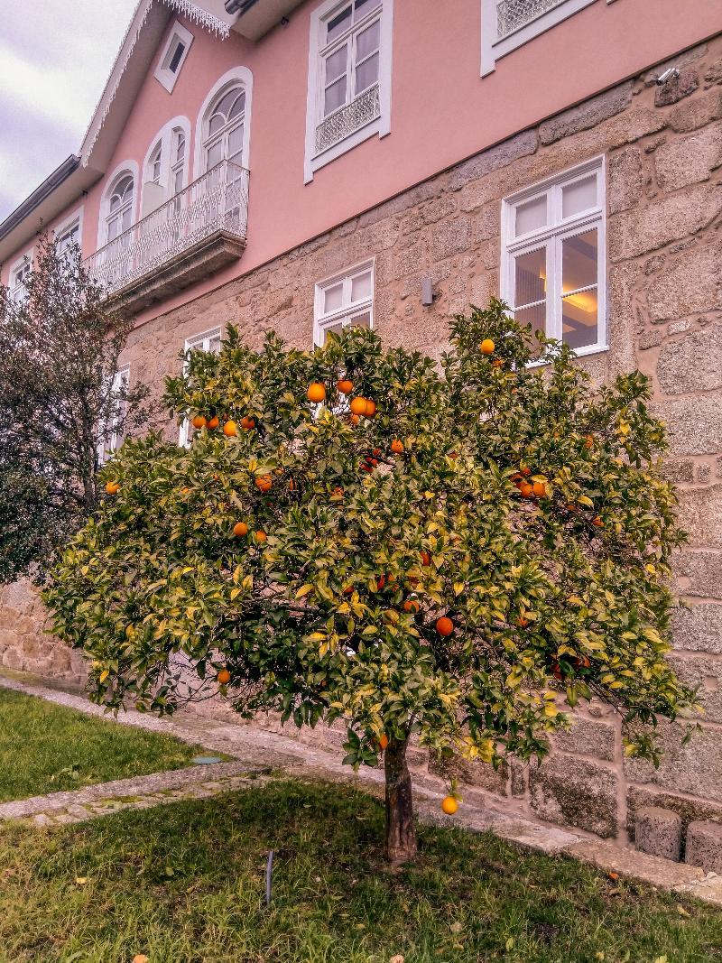 Hotel Ribeira Collection By Piamonte