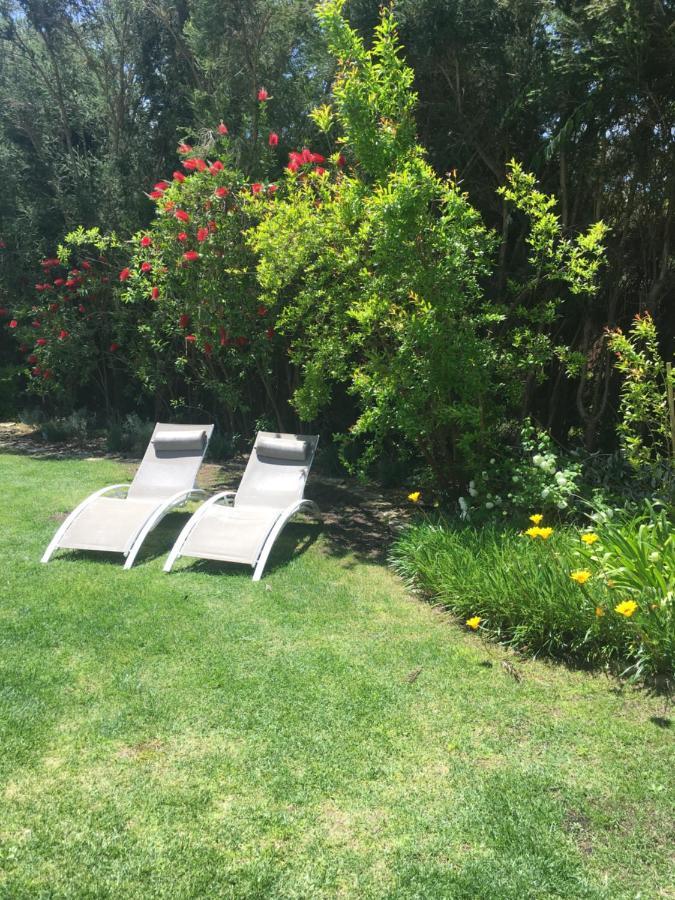 Guest house Oasis