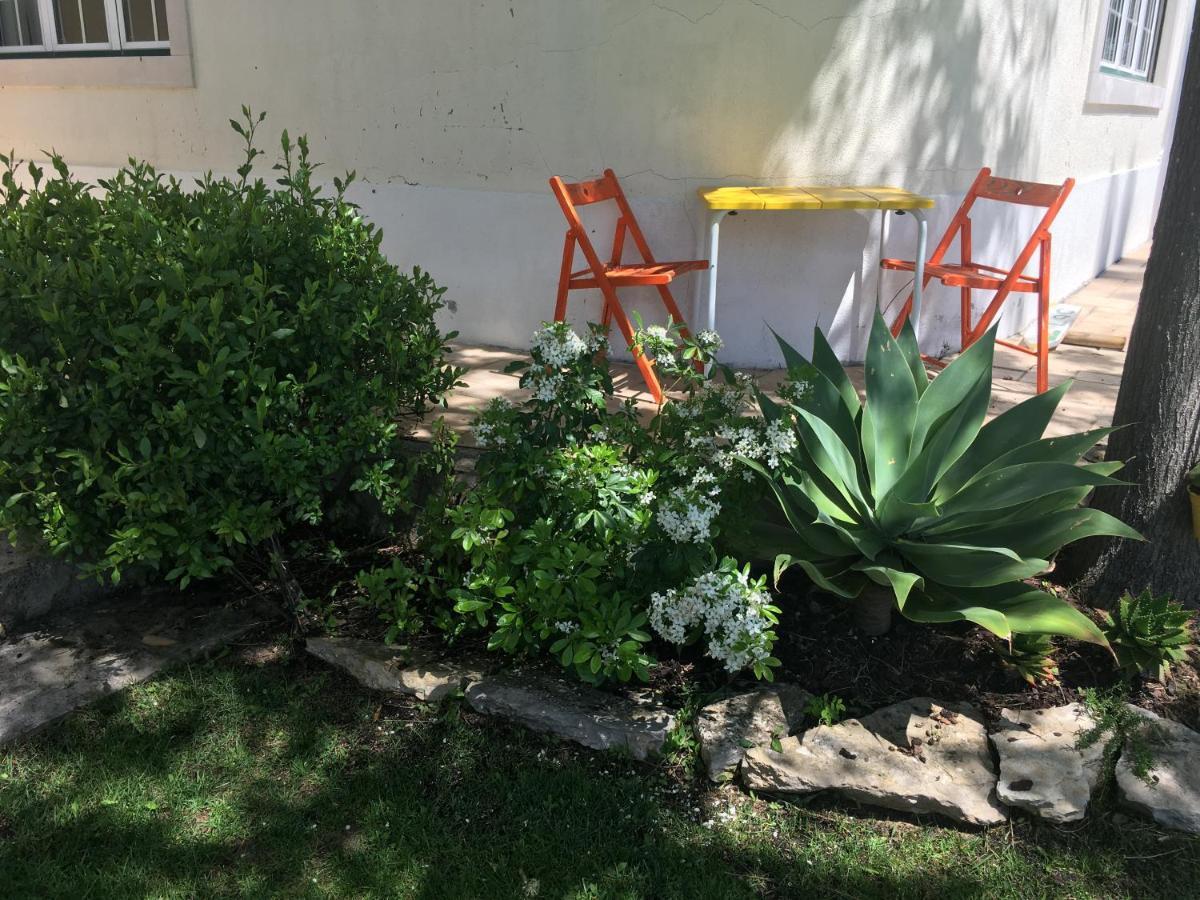 Oasis 3*