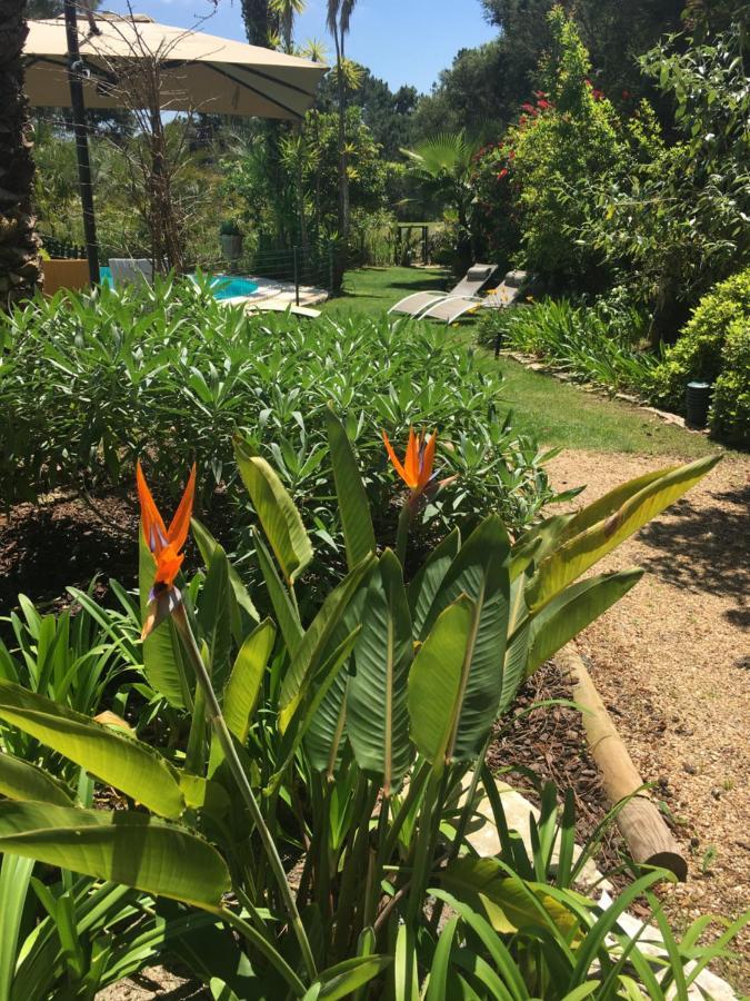 Oasis Azeitao
