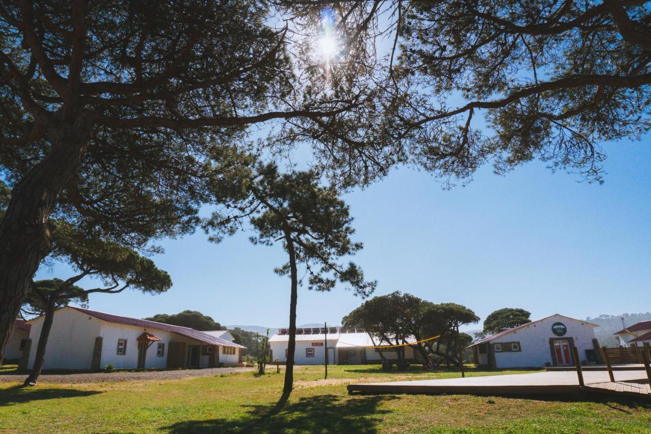 Oasis Backpackers Sintra Surf *