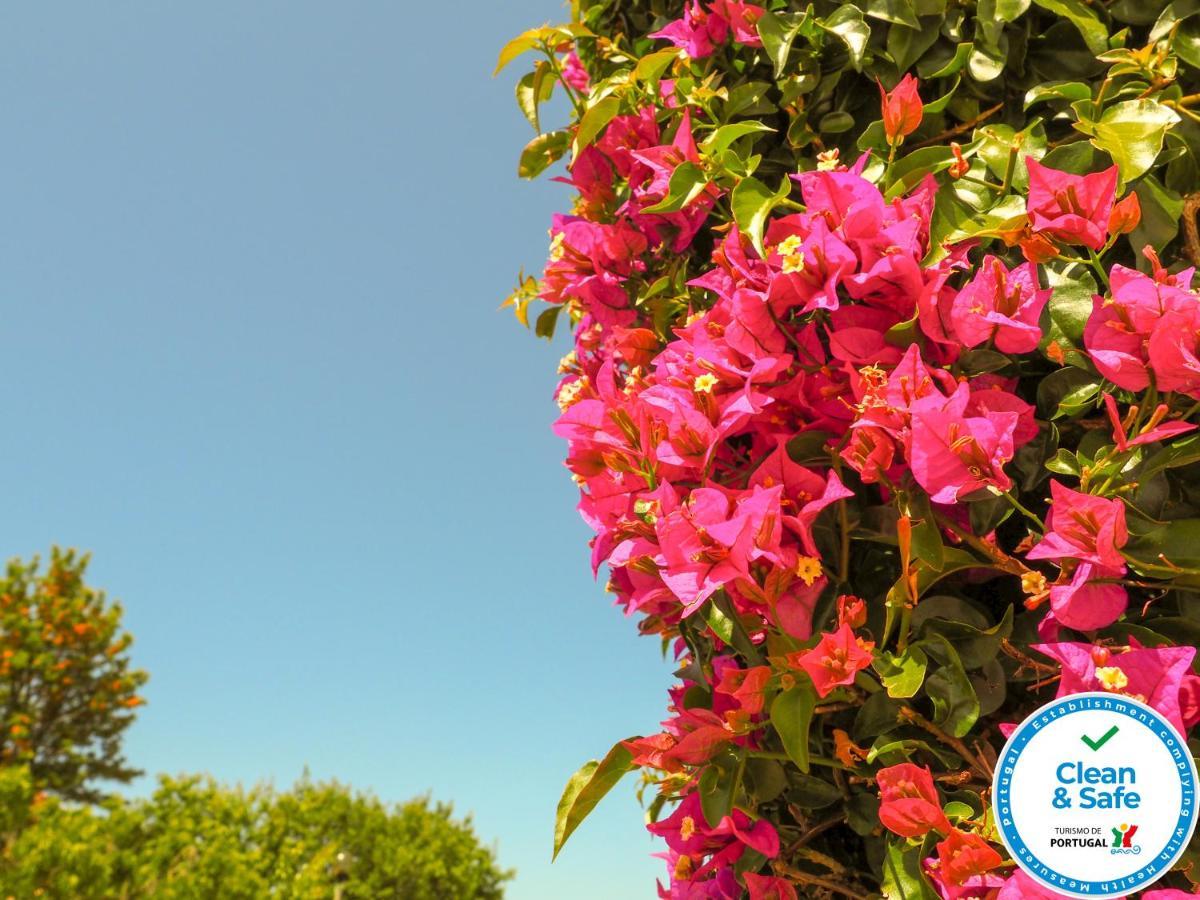 Club House Cvl Praia Da Luz