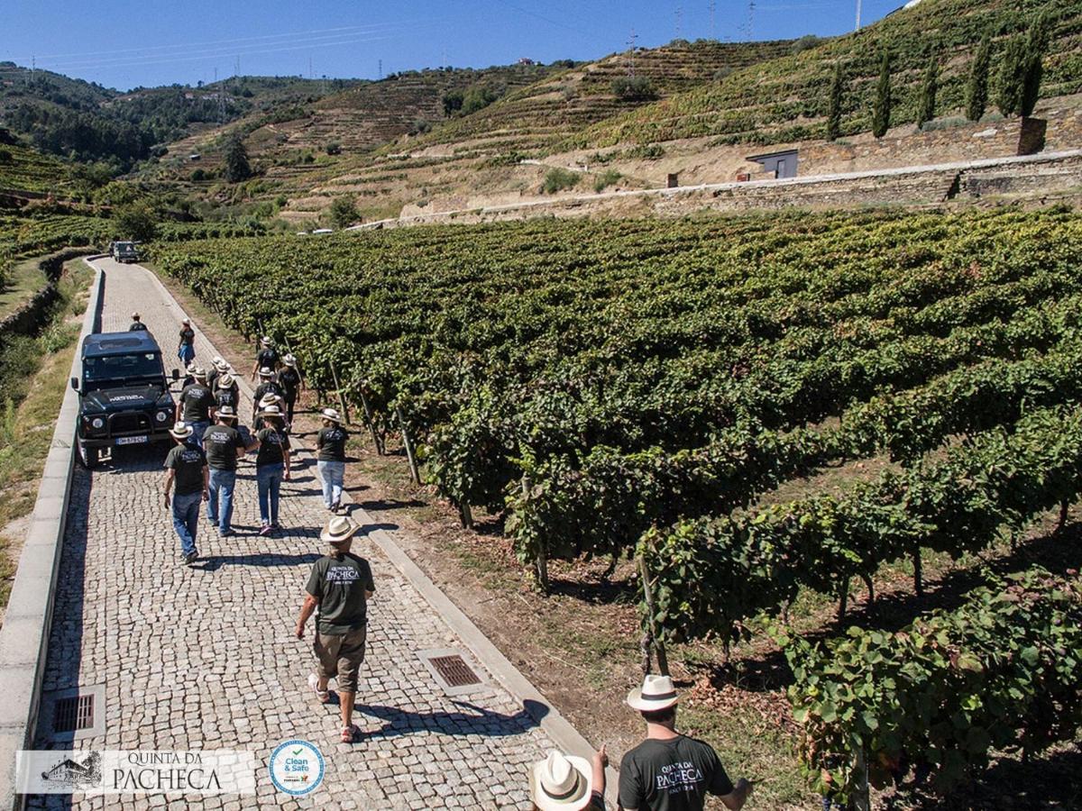Pacheca The Wine House E - Quinta Da Pacheca