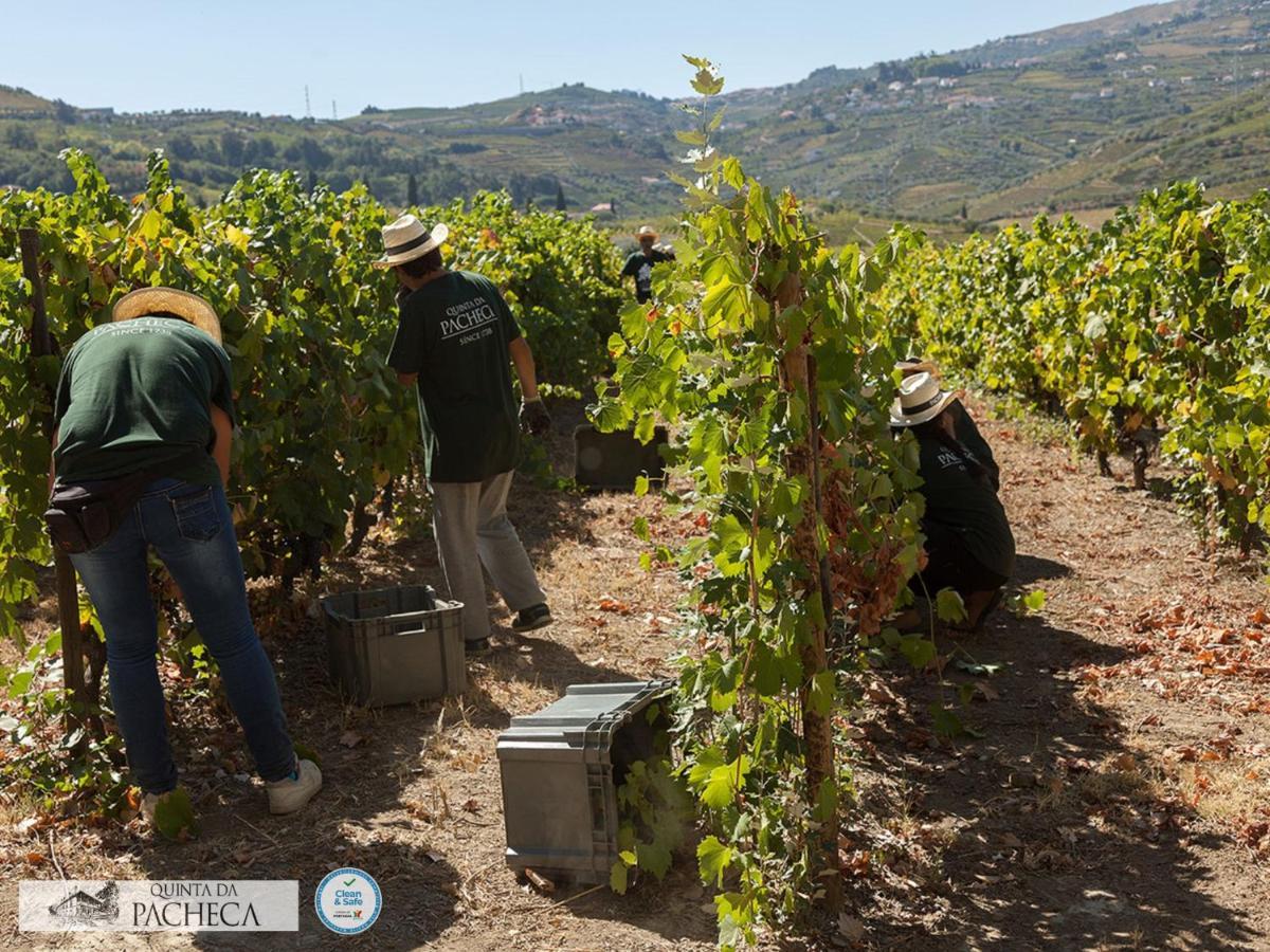 Pacheca The Wine House E - Quinta Da Pacheca Hotel 5*