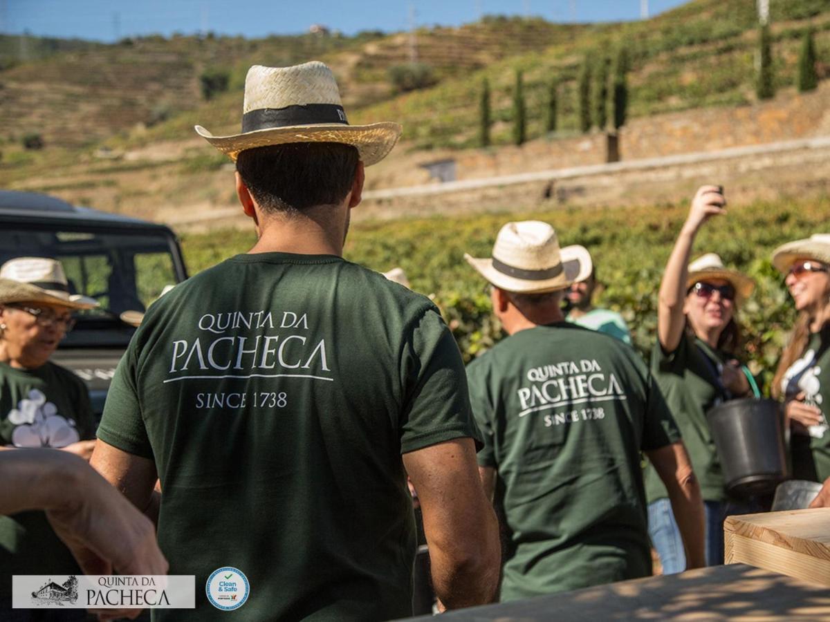 Pacheca The Wine House E - Quinta Da Pacheca 5* Lamego
