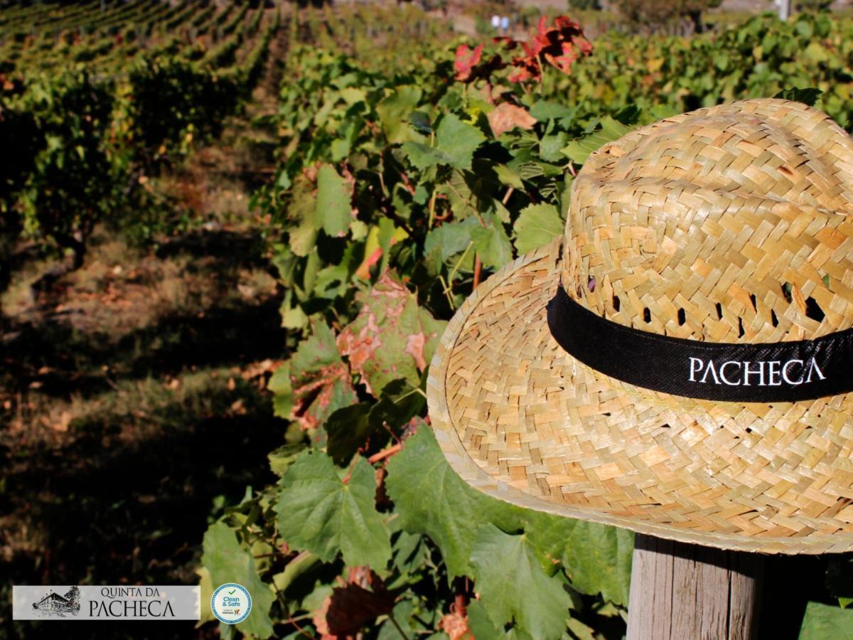 Hotel Pacheca The Wine House E - Quinta Da Pacheca 5*
