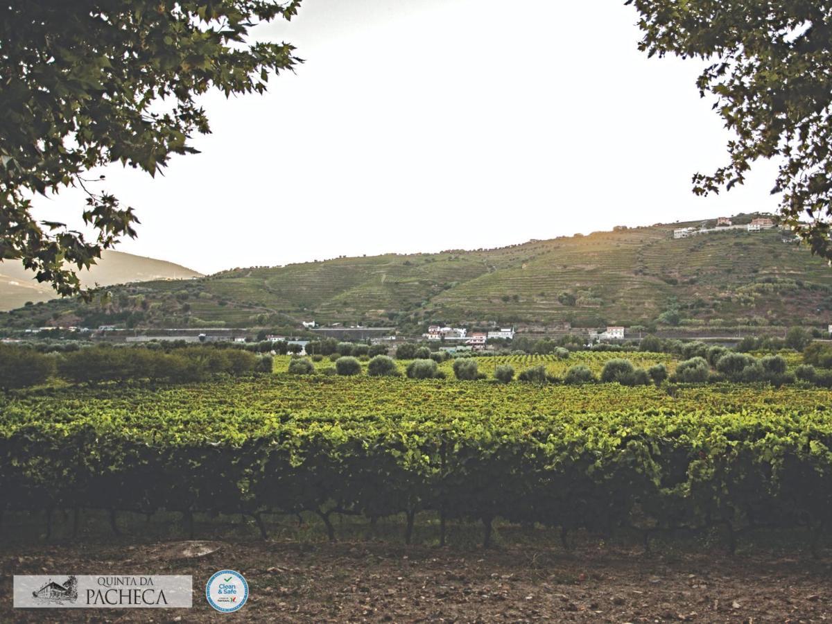 Pacheca The Wine House E - Quinta Da Pacheca Hotel 5*