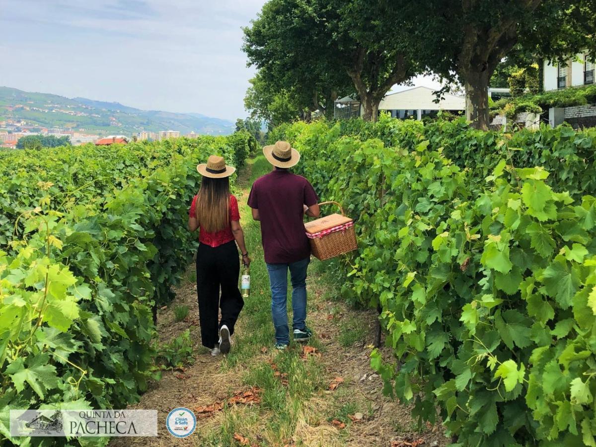 Pacheca The Wine House E - Quinta Da Pacheca 5*