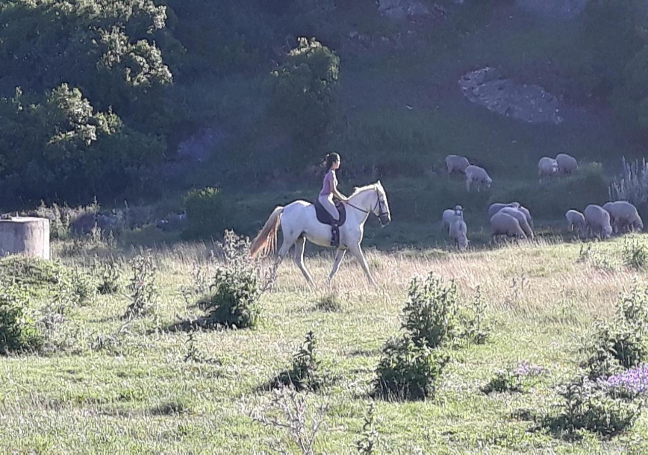 Quinta Da Torre - Country house