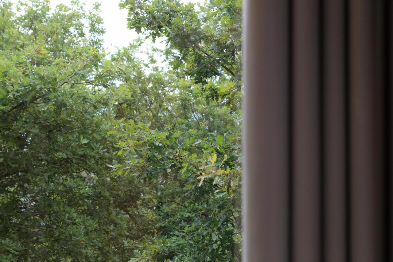 Lodge Oak Nature Vieira do Minho