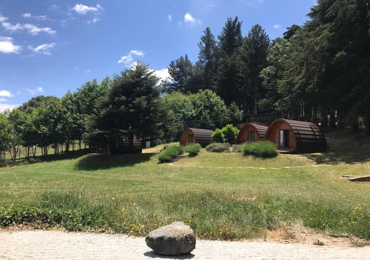 Parque Biologico De Campsite Vinhais