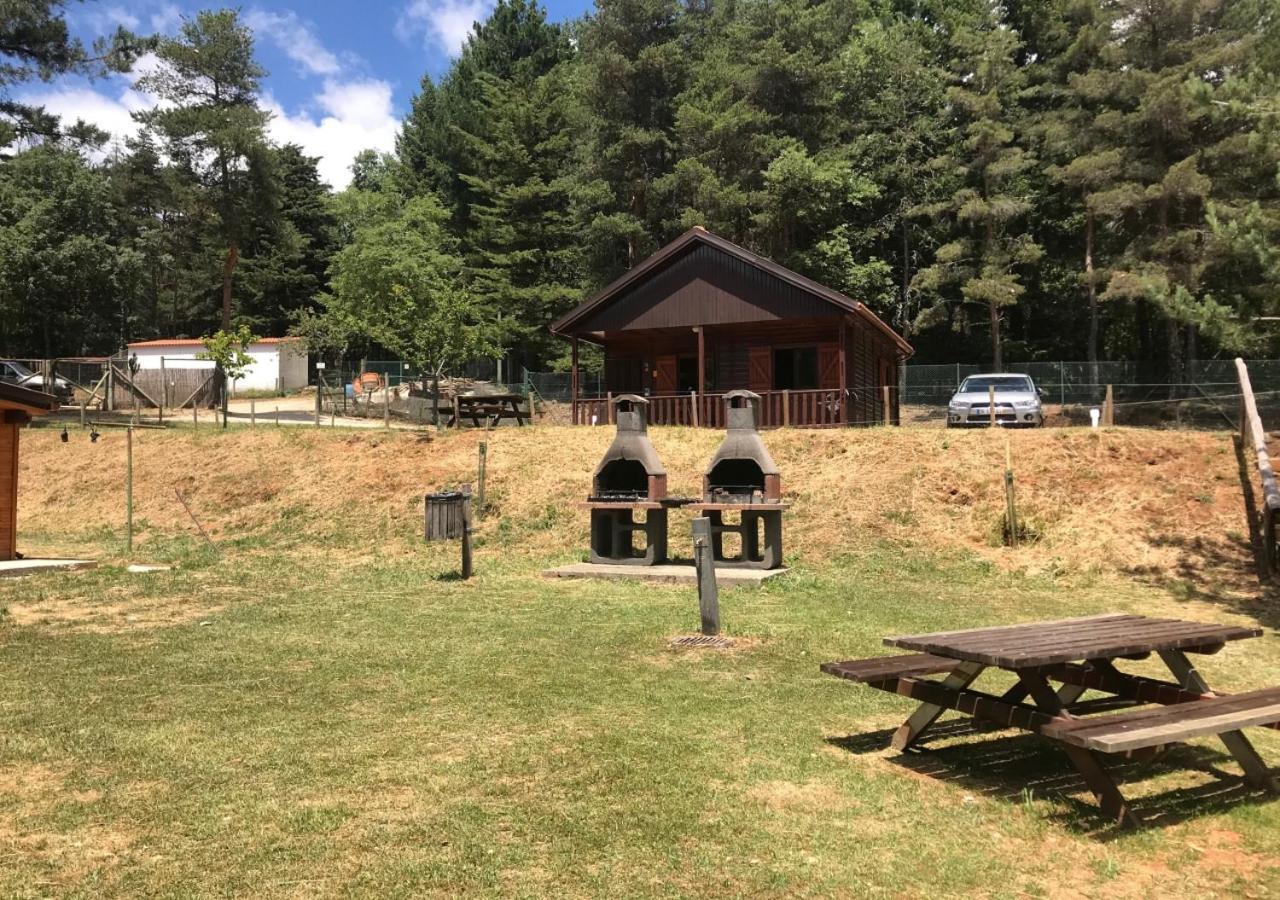 Parque Biologico De Campsite Vinhais
