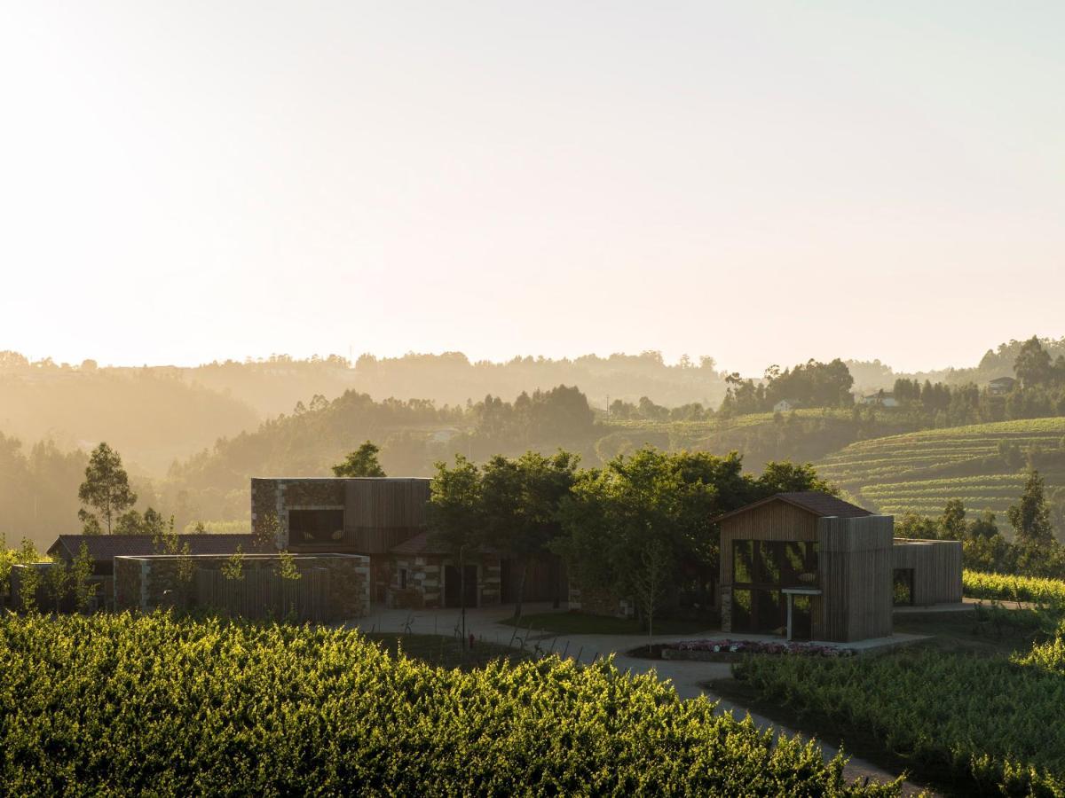 Monverde - Wine Experience - By Unlock Amarante