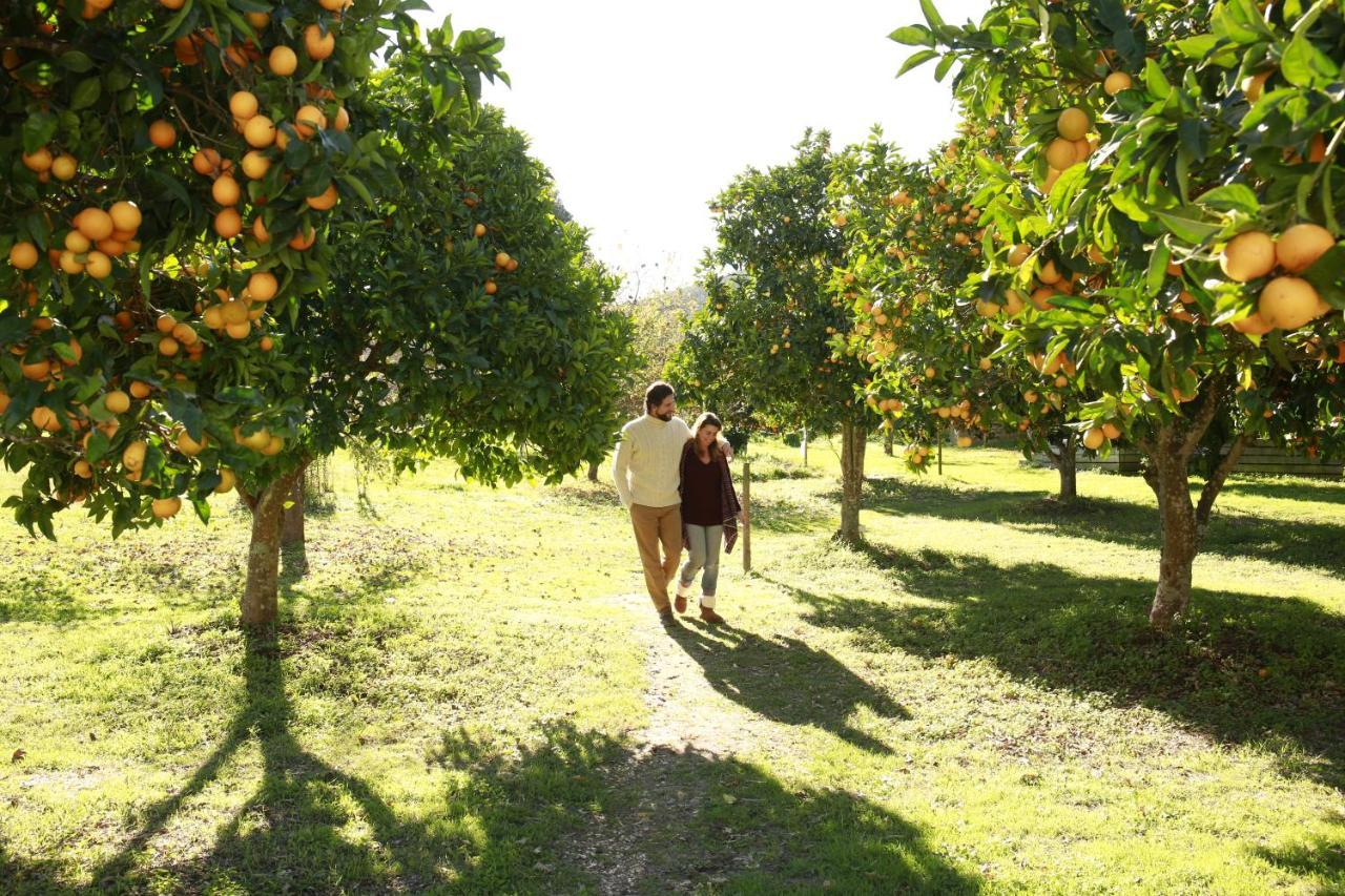 Country house Herdade Da Matinha & Restaurant Cercal do Alentejo