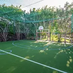 3Hb Guarana